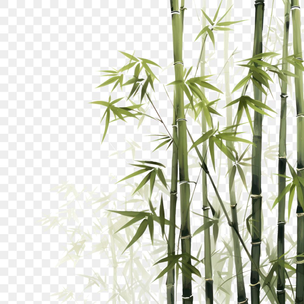 PNG Bamboo jungle backgrounds plant white background. AI generated Image by rawpixel.