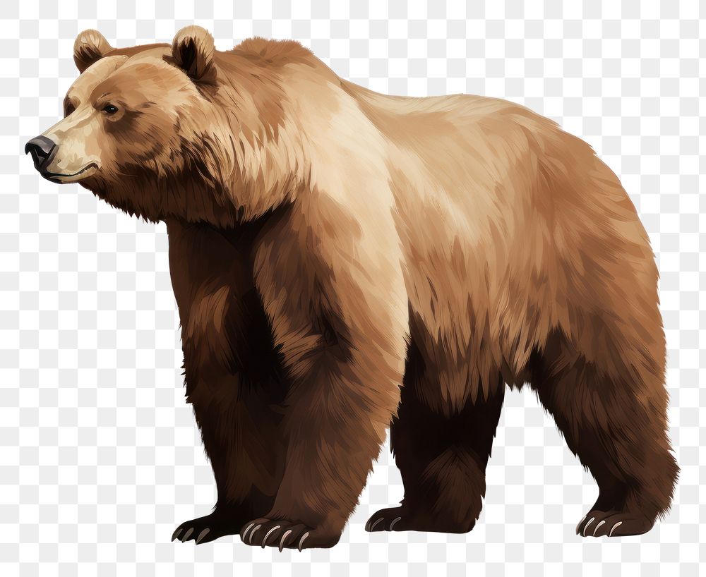 PNG Mammal animal bear standing. AI generated Image by rawpixel.