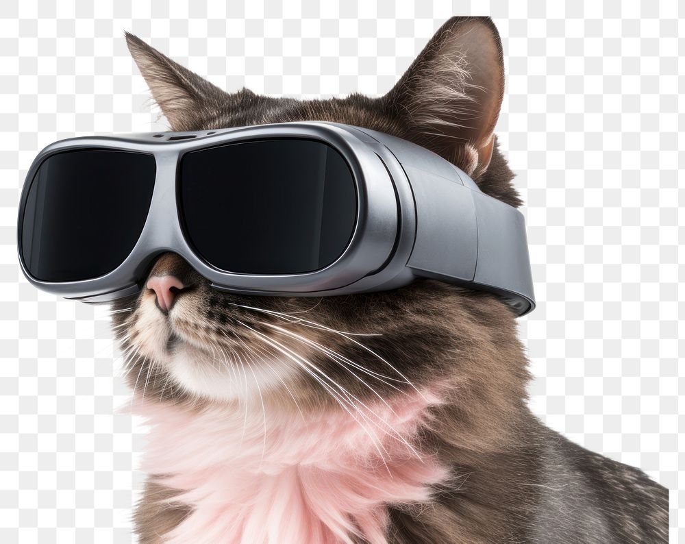 PNG A Cat wearing VR glasses sunglasses mammal pet. 