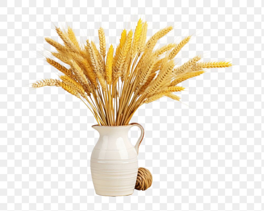 PNG Wheat vase food freshness. 