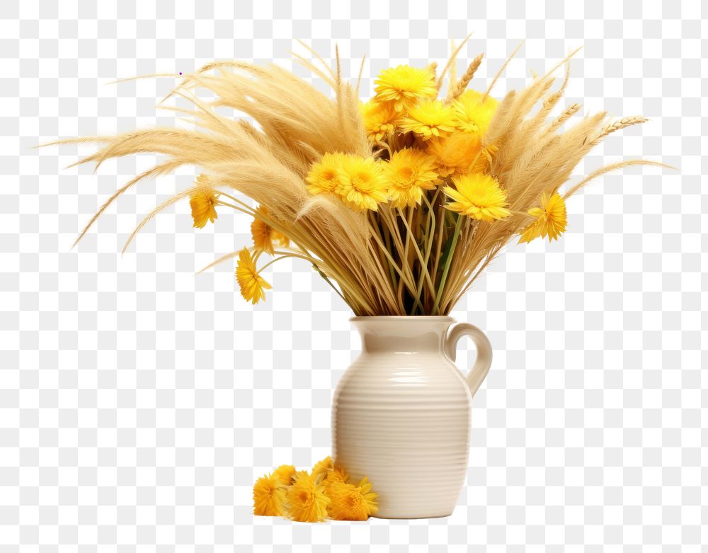 PNG Flower vase plant  