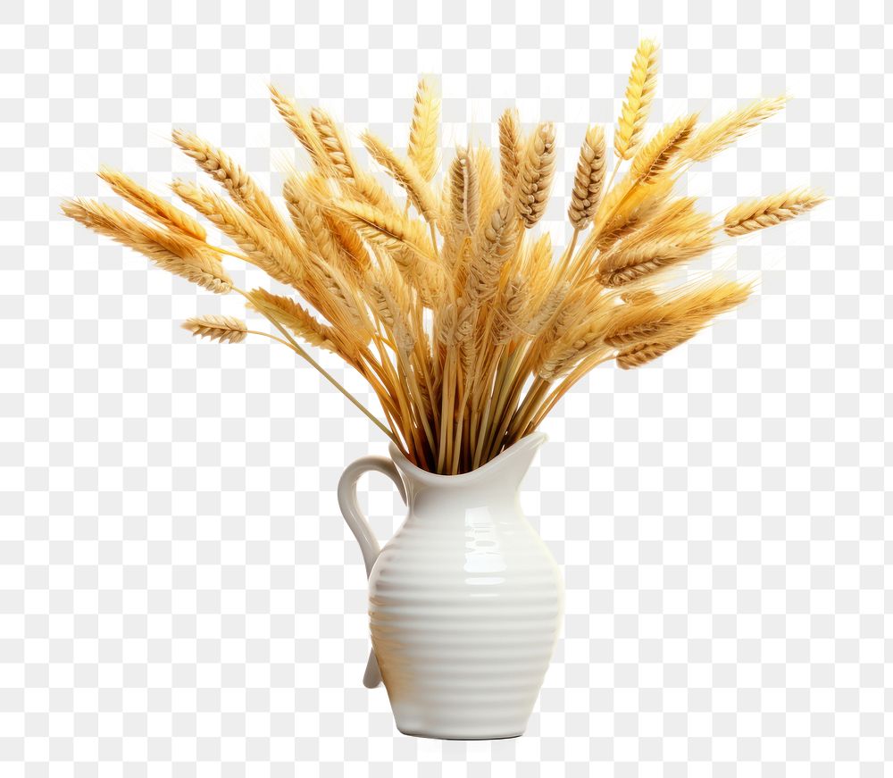 PNG Wheat vase food agriculture. AI generated Image by rawpixel.