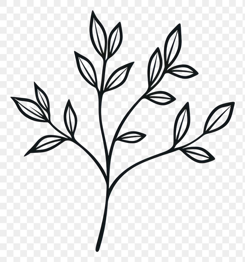PNG Simple plant doodle pattern drawing sketch. AI generated Image by rawpixel.