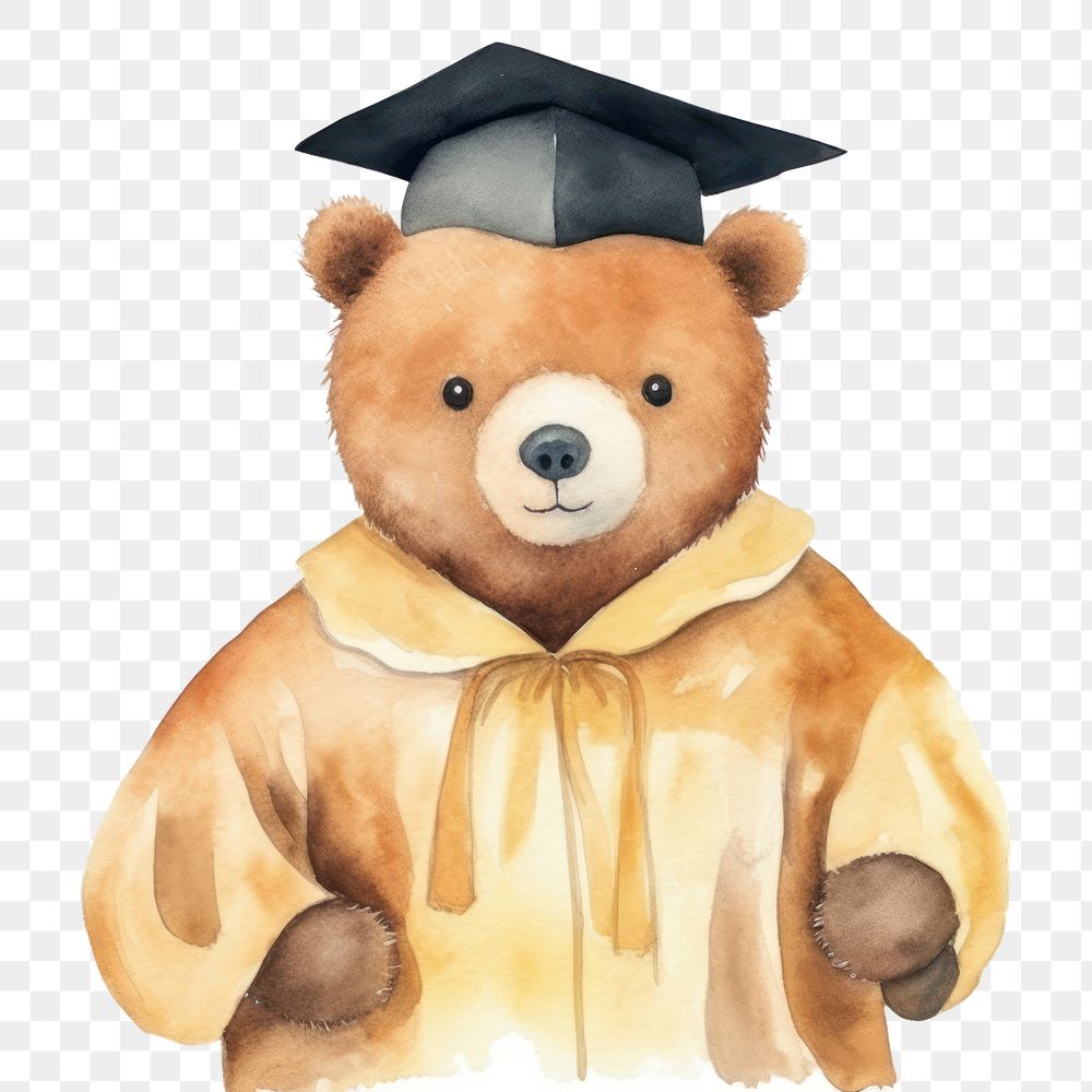 PNG Graduation cartoon bear toy. 