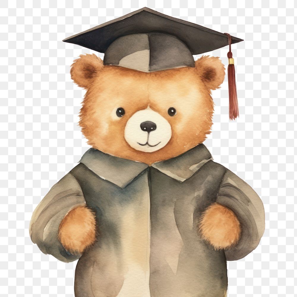 PNG Graduation student cartoon bear. 