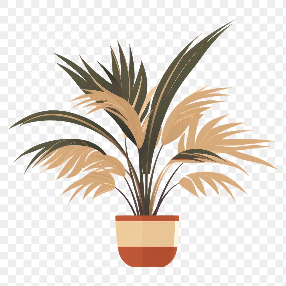 PNG Tropical plant houseplant flowerpot arecaceae. 