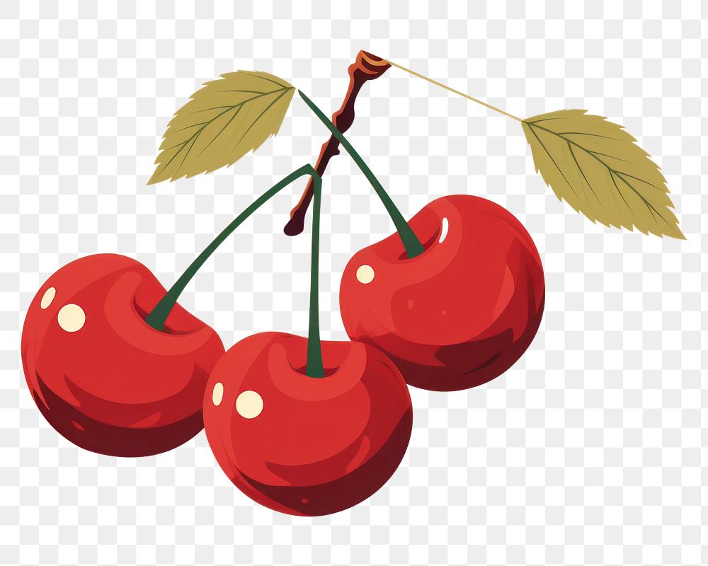 PNG Cherry food fruit plant. AI generated Image by rawpixel.