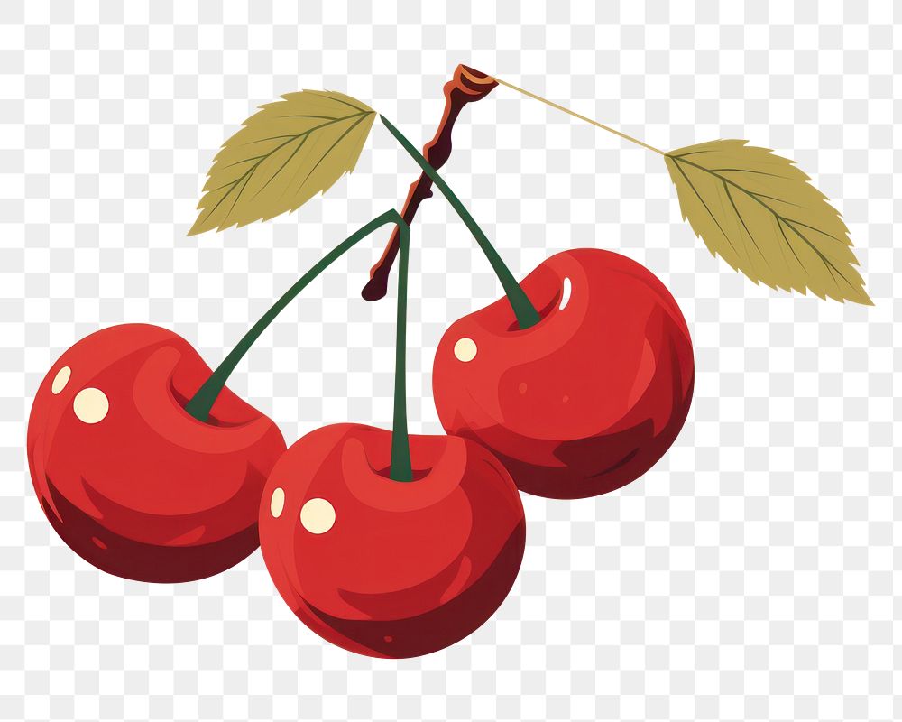 PNG Cherry food fruit plant. 