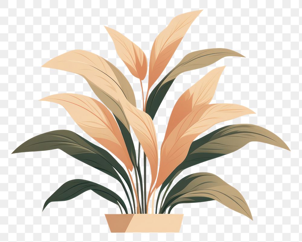 PNG Tropical plant houseplant floristry graphics. 