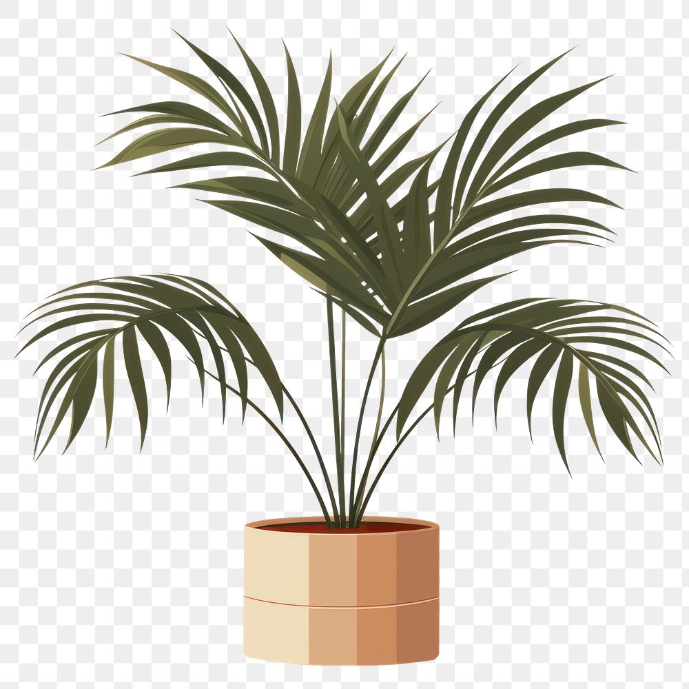 PNG Tropical plant leaf houseplant flowerpot. AI generated Image by rawpixel.