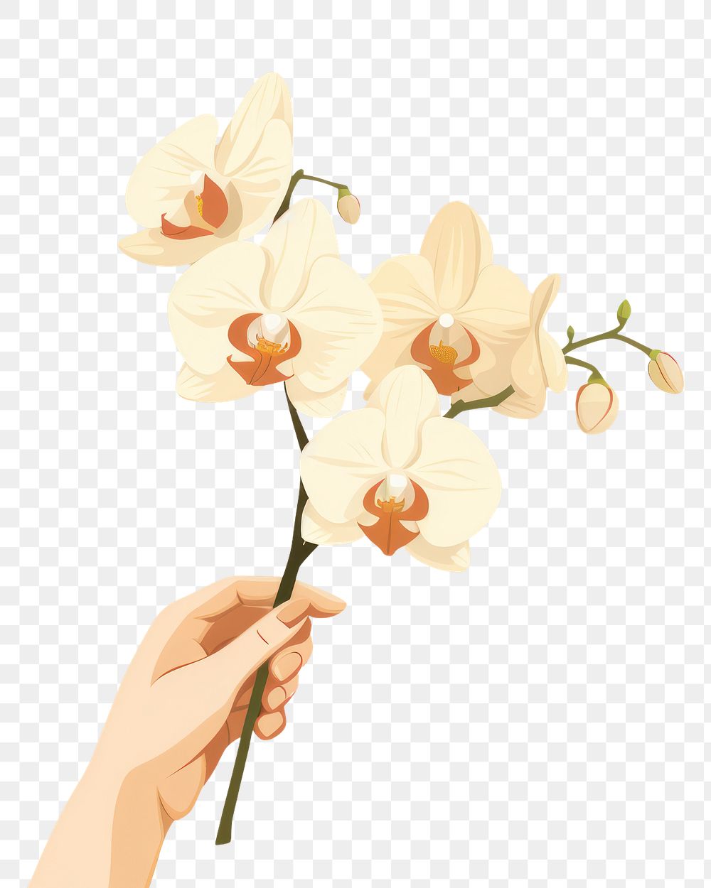 PNG A hand holding orchid flower plant chandelier. 