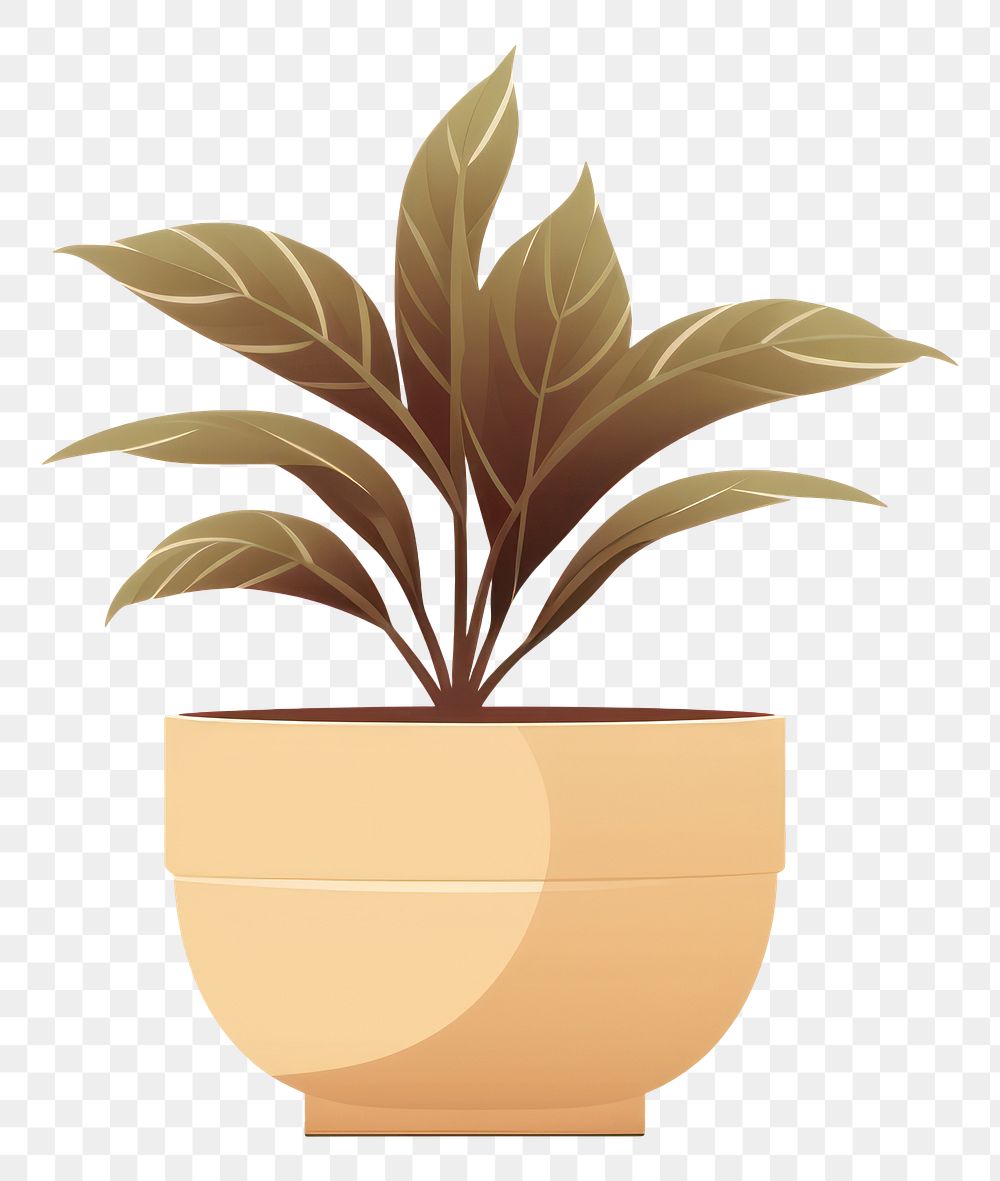 PNG Potted plant leaf houseplant flowerpot. AI generated Image by rawpixel.