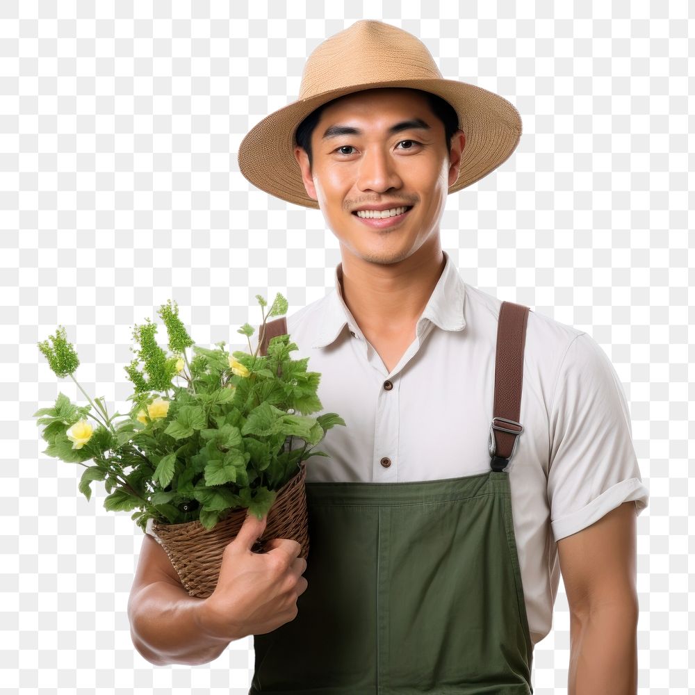 PNG Plant gardening gardener holding. AI generated Image by rawpixel.