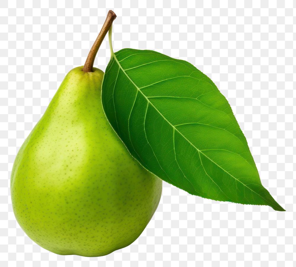 PNG Pear fruit plant green. AI generated Image by rawpixel.