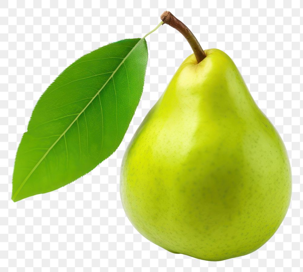 PNG Pear fruit plant green. AI generated Image by rawpixel.