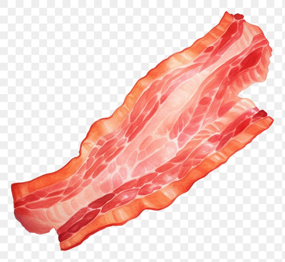 PNG Bacon bacon meat pork. AI generated Image by rawpixel.