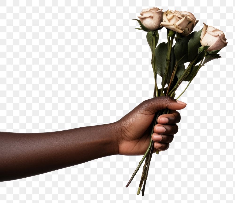 PNG Hand holding flower finger plant rose. AI generated Image by rawpixel.