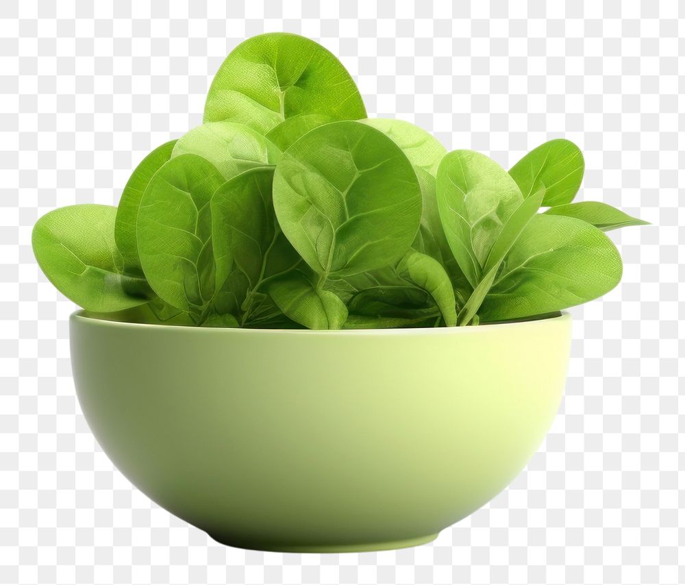 PNG Bowl vegetable spinach plant. AI generated Image by rawpixel.
