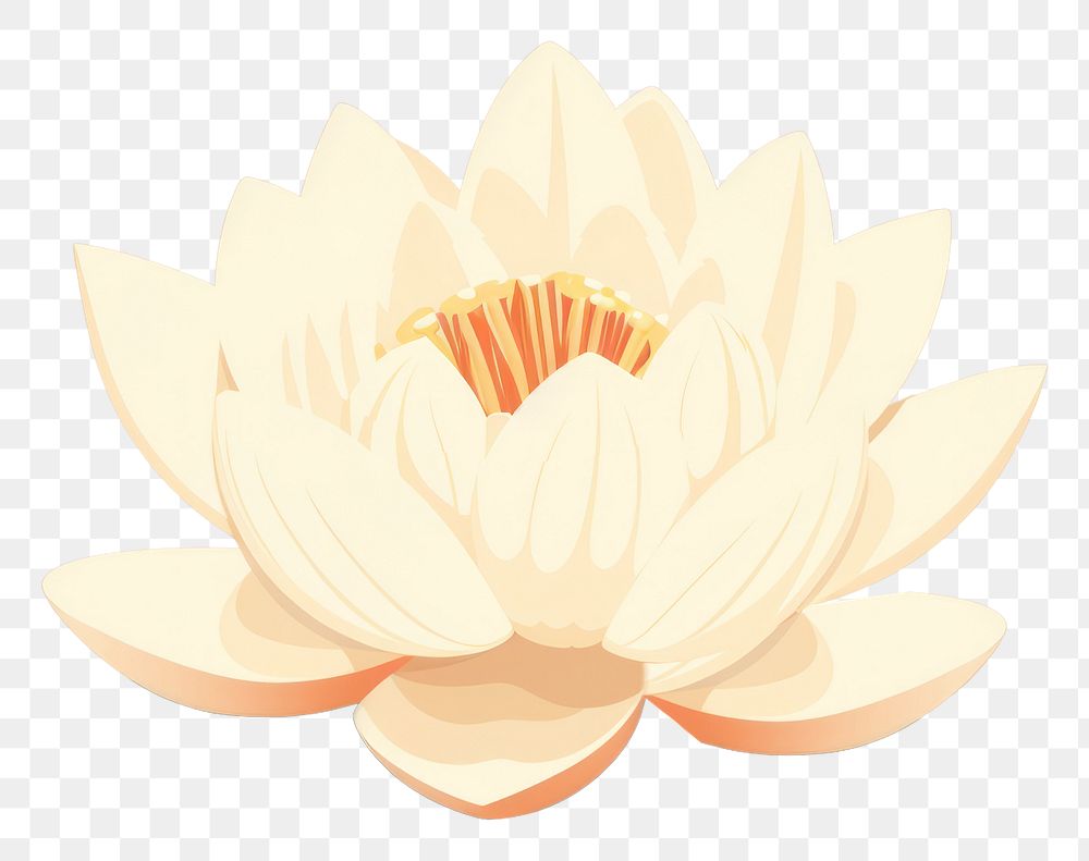 PNG Lotus flower plant lily. 