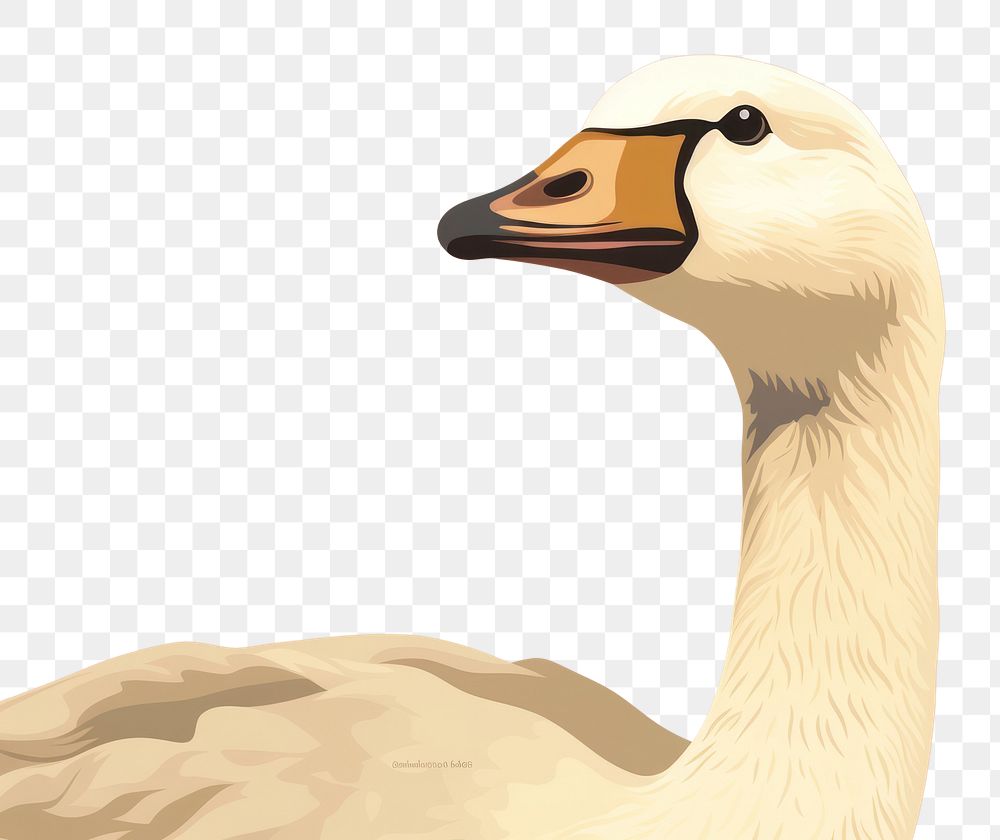 PNG Goose animal bird beak. 