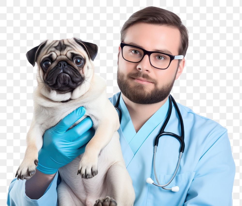 PNG Veterinarian glasses doctor adult. 