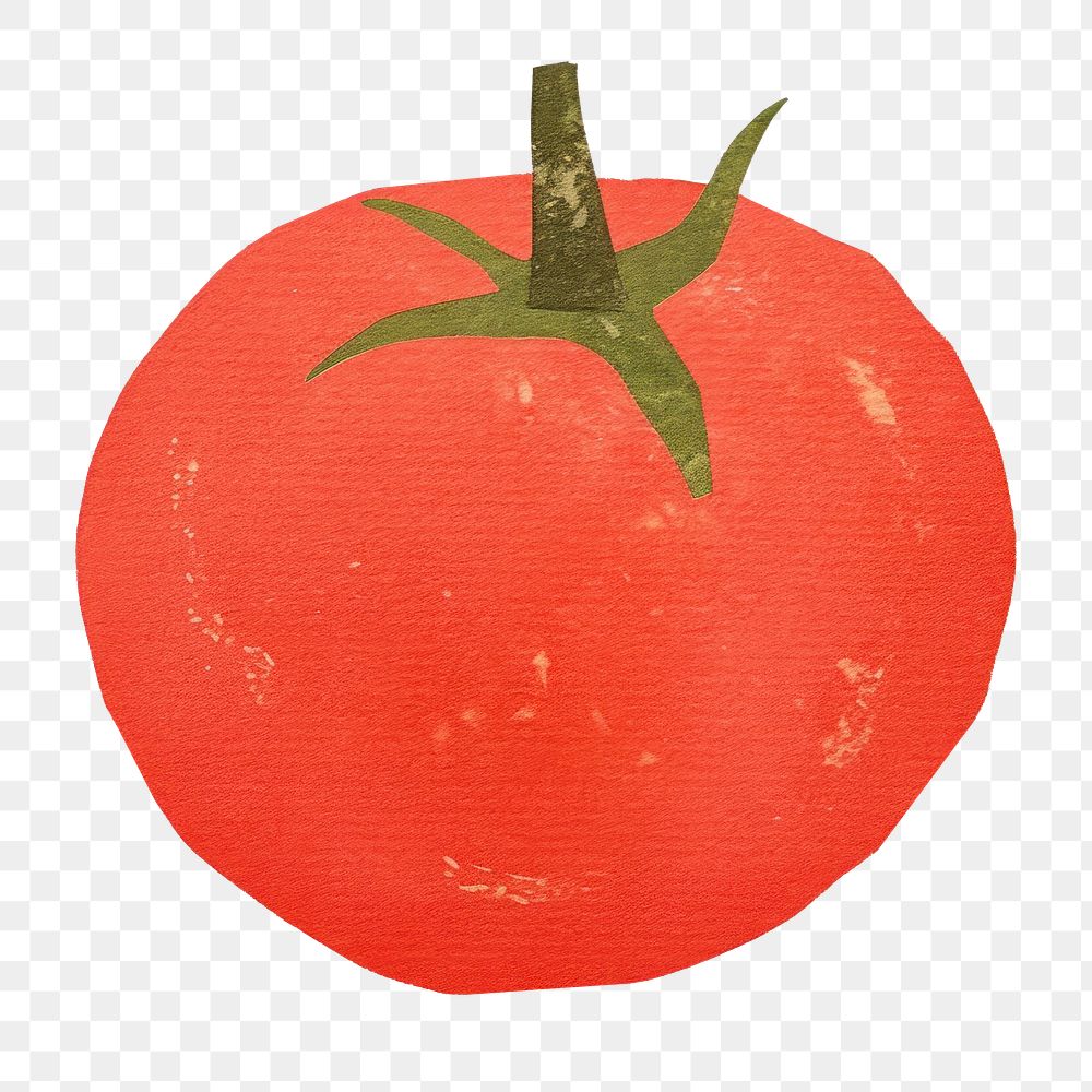 PNG Tomato vegetable plant food. AI generated Image by rawpixel.