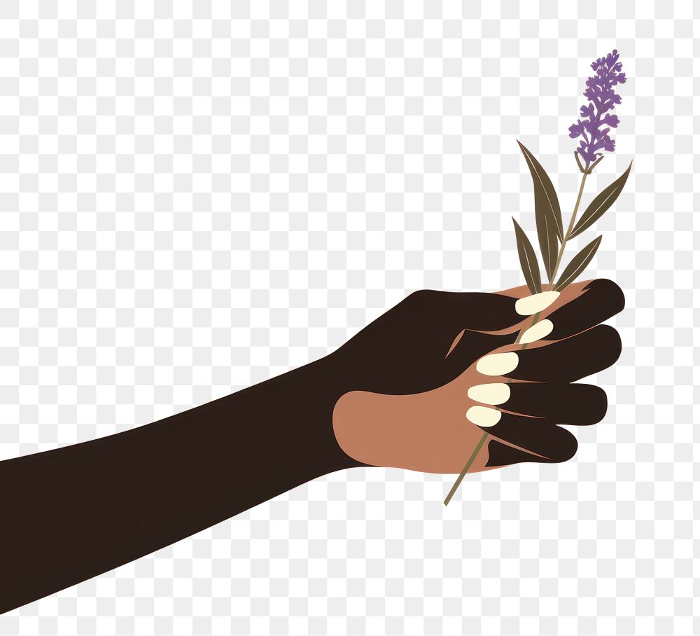 PNG Hand holding lavender finger flower female. 