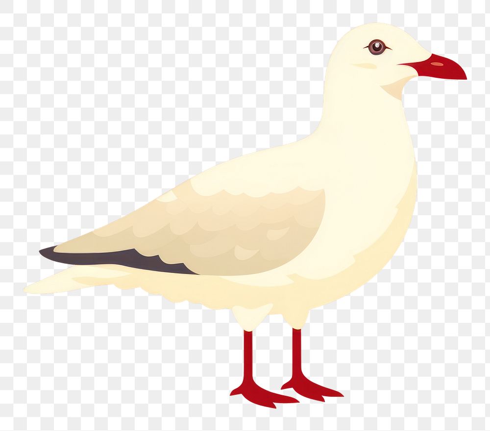 PNG Seagull wildlife animal goose. AI generated Image by rawpixel.