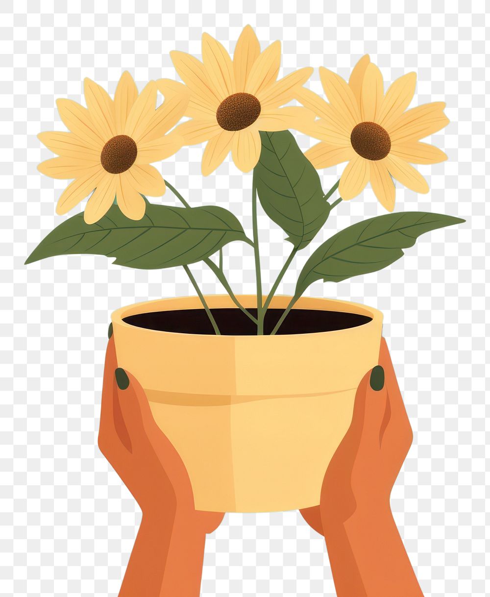 PNG Sunflower flower pot holding plant hand. AI generated Image by rawpixel.
