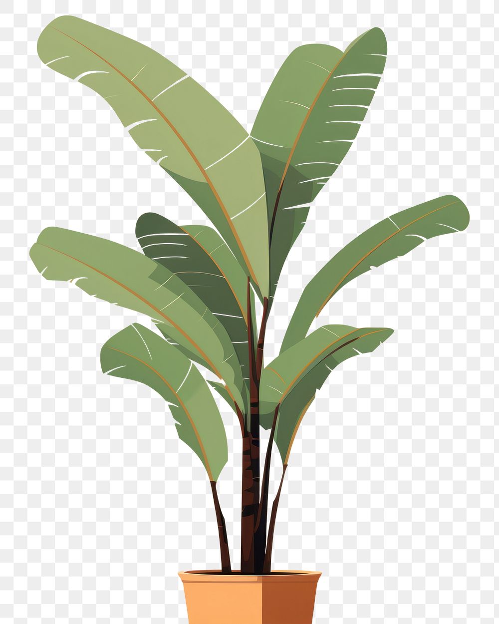 PNG Banana tree plant leaf houseplant. AI generated Image by rawpixel.