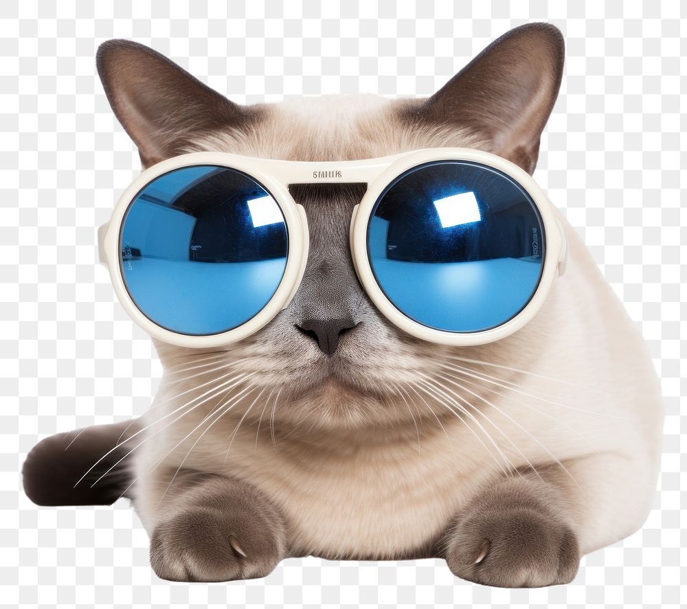 PNG Siamese cat sleep pet sunglasses mammal. AI generated Image by rawpixel.