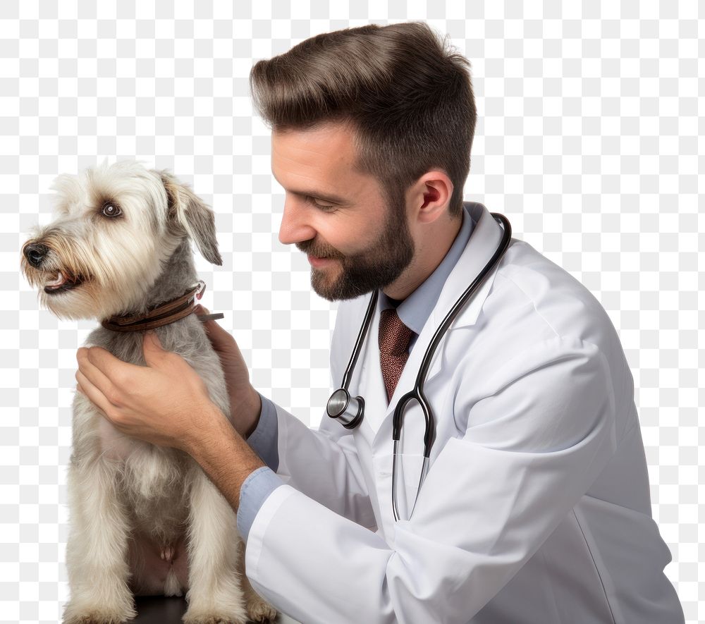 PNG Veterinarian doctor dog mammal. AI generated Image by rawpixel.
