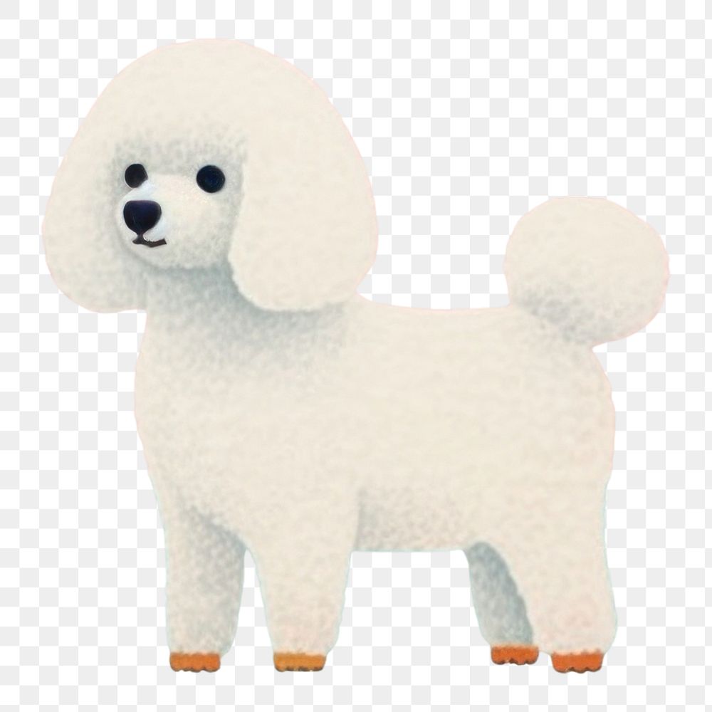 PNG White Poodle dog art animal mammal. 