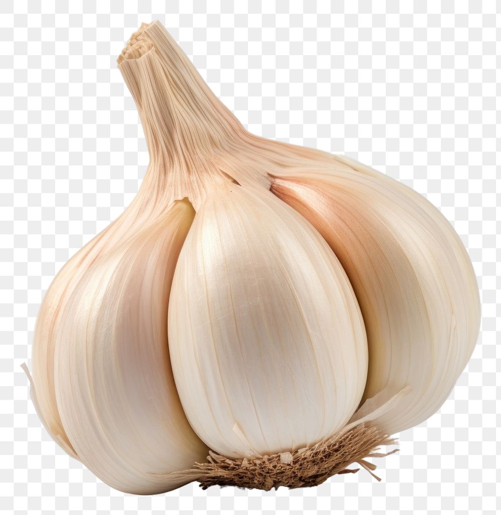 PNG Garlic vegetable plant food. 