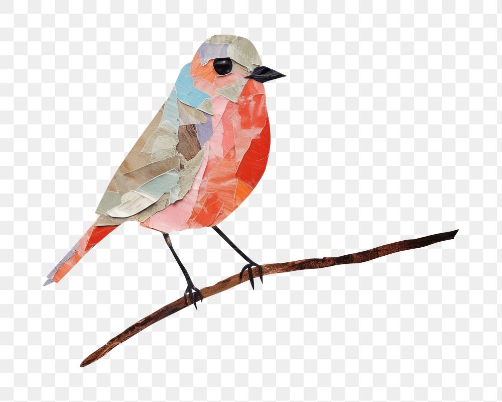 PNG Bird painting animal beak. AI generated Image by rawpixel.