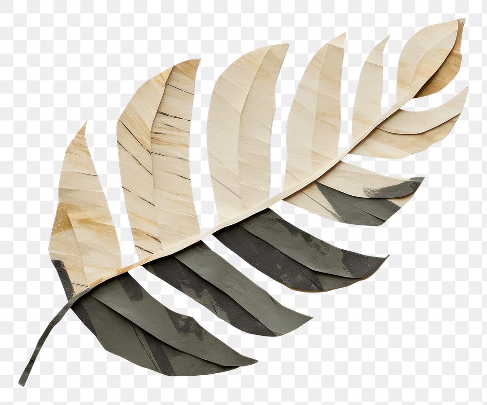 PNG Leaf plant weaponry pattern. AI generated Image by rawpixel.