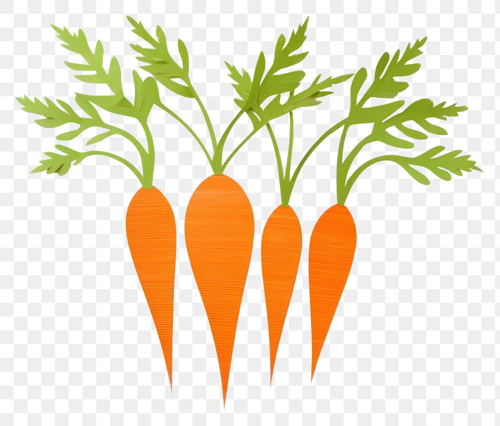 PNG Carrots vegetable plant food. 