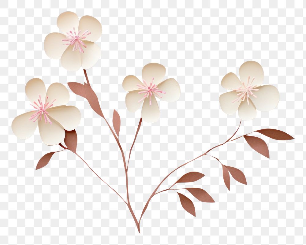 PNG Blossom pattern flower plant. AI generated Image by rawpixel.