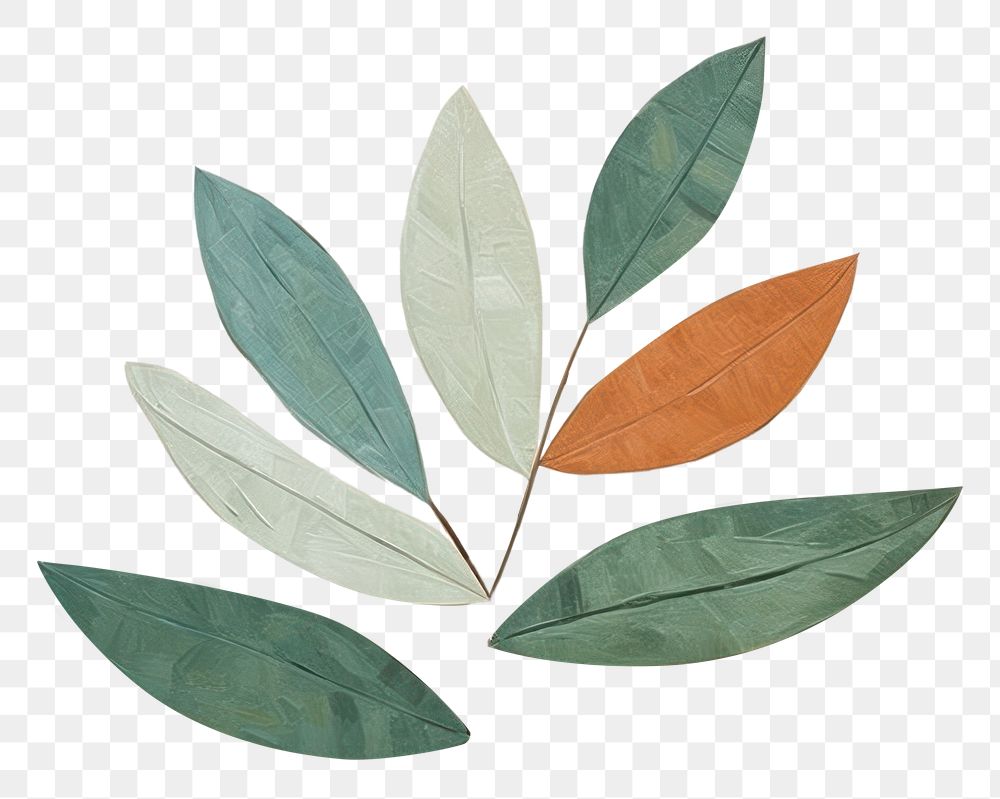 PNG Leaf art plant wall. AI generated Image by rawpixel.
