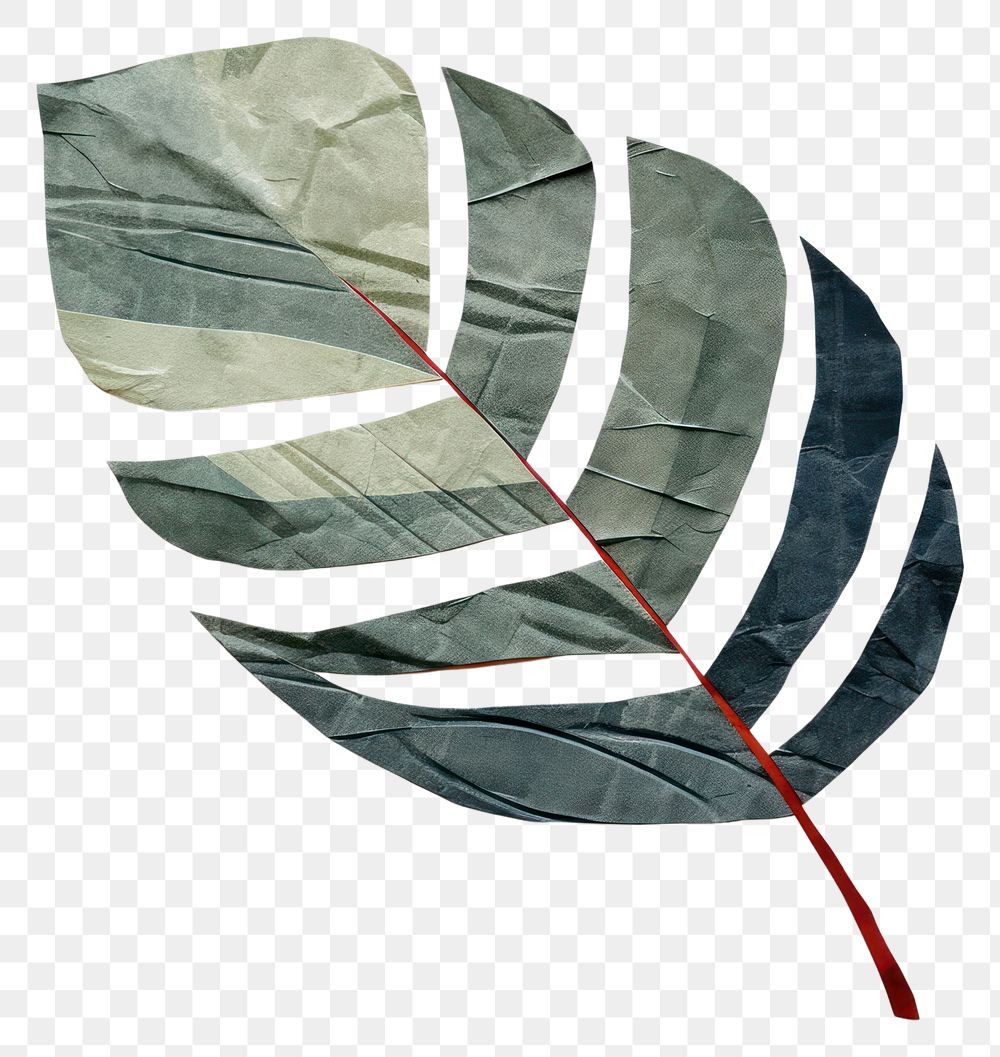 PNG Leaf plant art weaponry. 