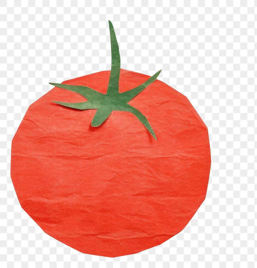 PNG Tomato fruit plant food. AI generated Image by rawpixel.