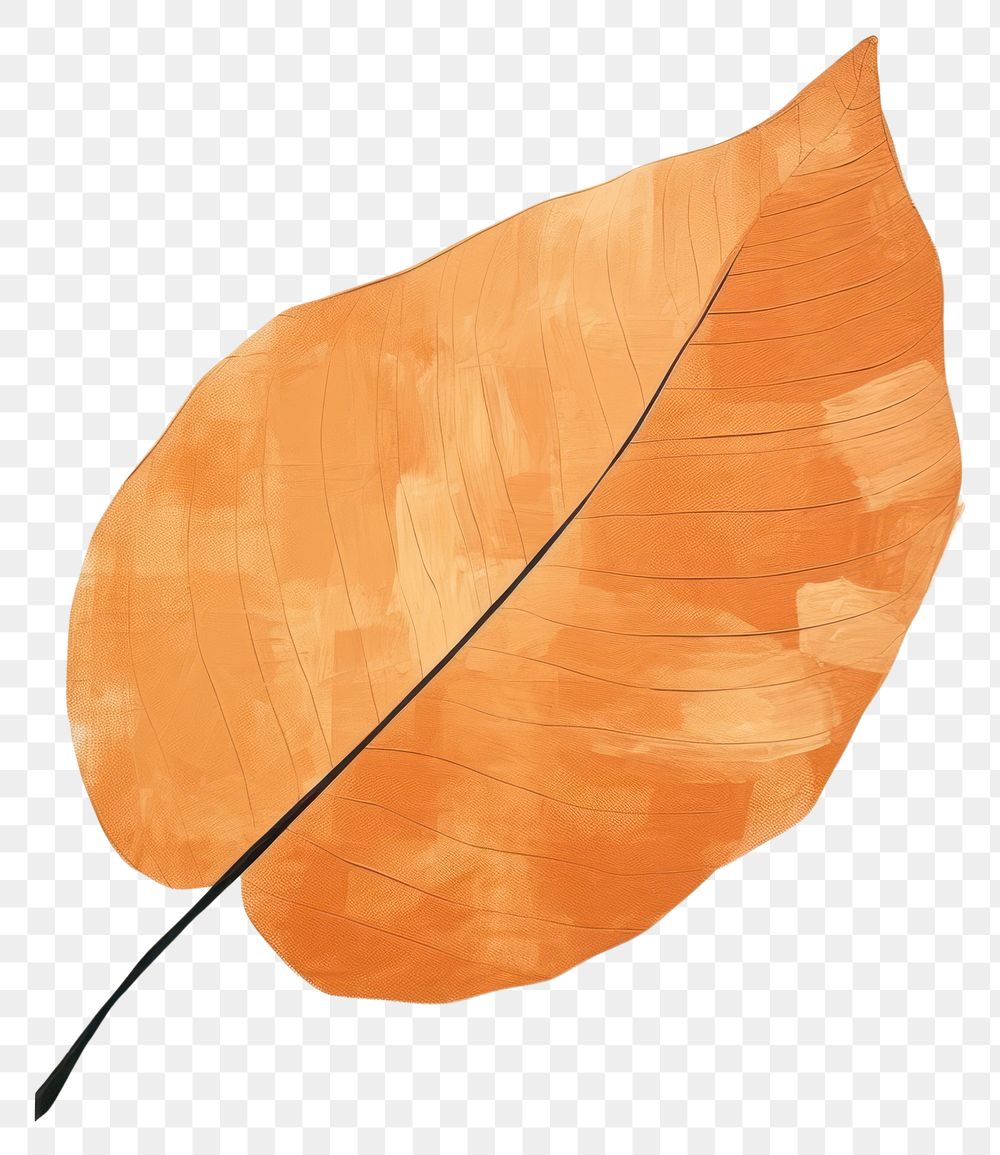 PNG Leaf art painting drawing. 