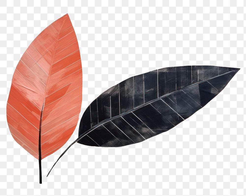 PNG Leaf painting drawing plant. 