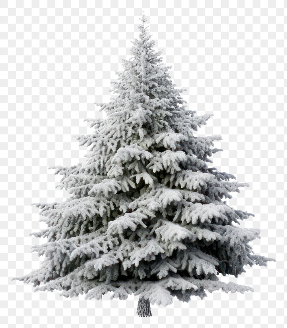 PNG Tree christmas plant white