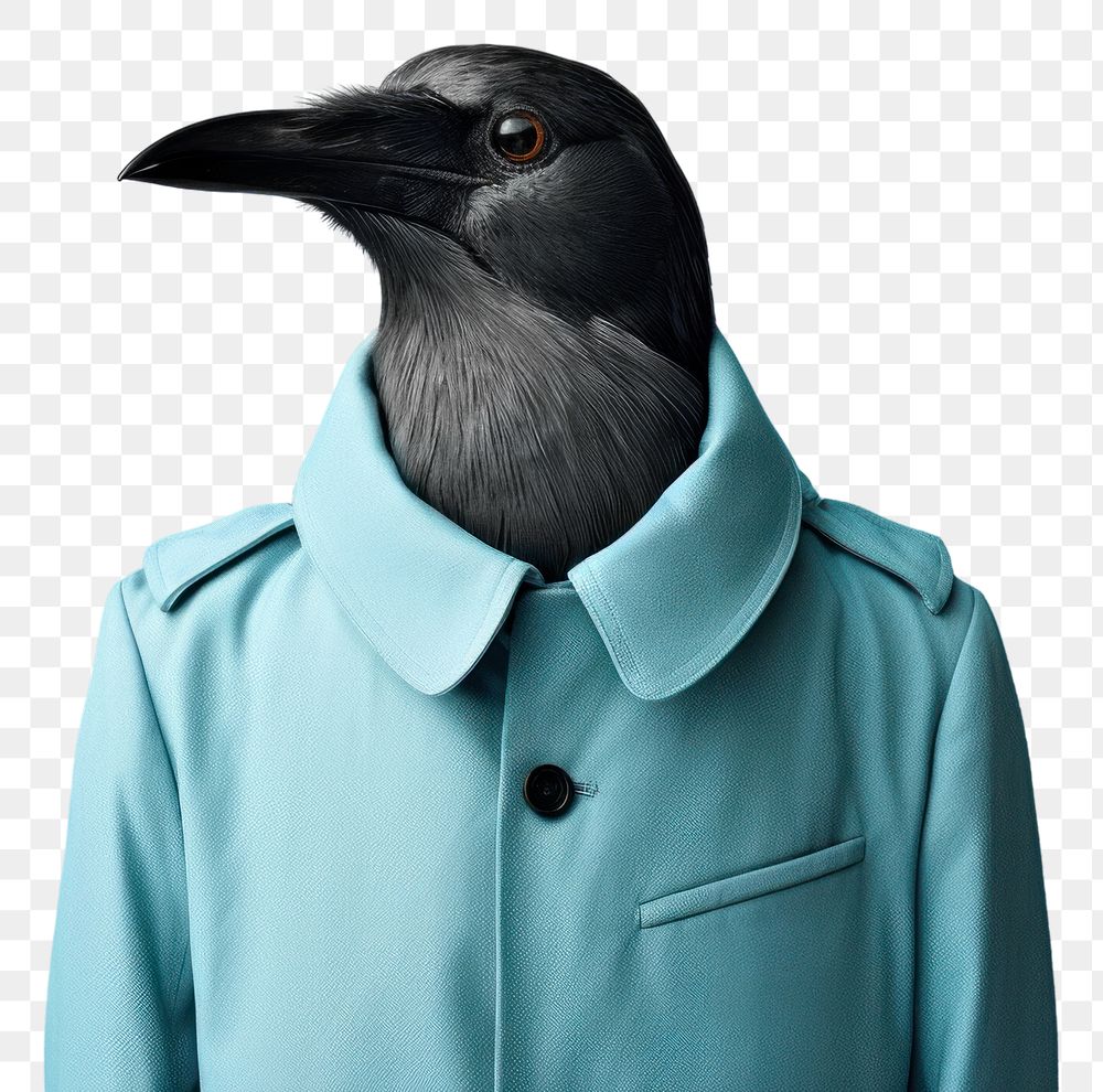 PNG Bird animal beak wildlife. AI generated Image by rawpixel.
