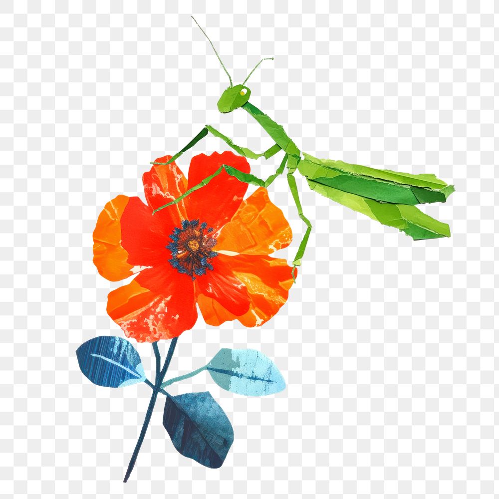 Dragonfly png flower, nature, creative paper craft collage, transparent background