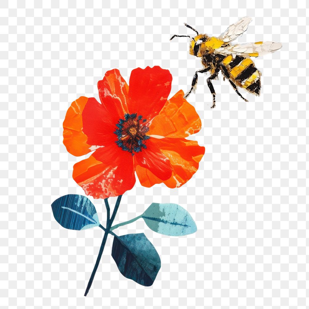 Bee png flower, nature, creative paper craft collage, transparent background
