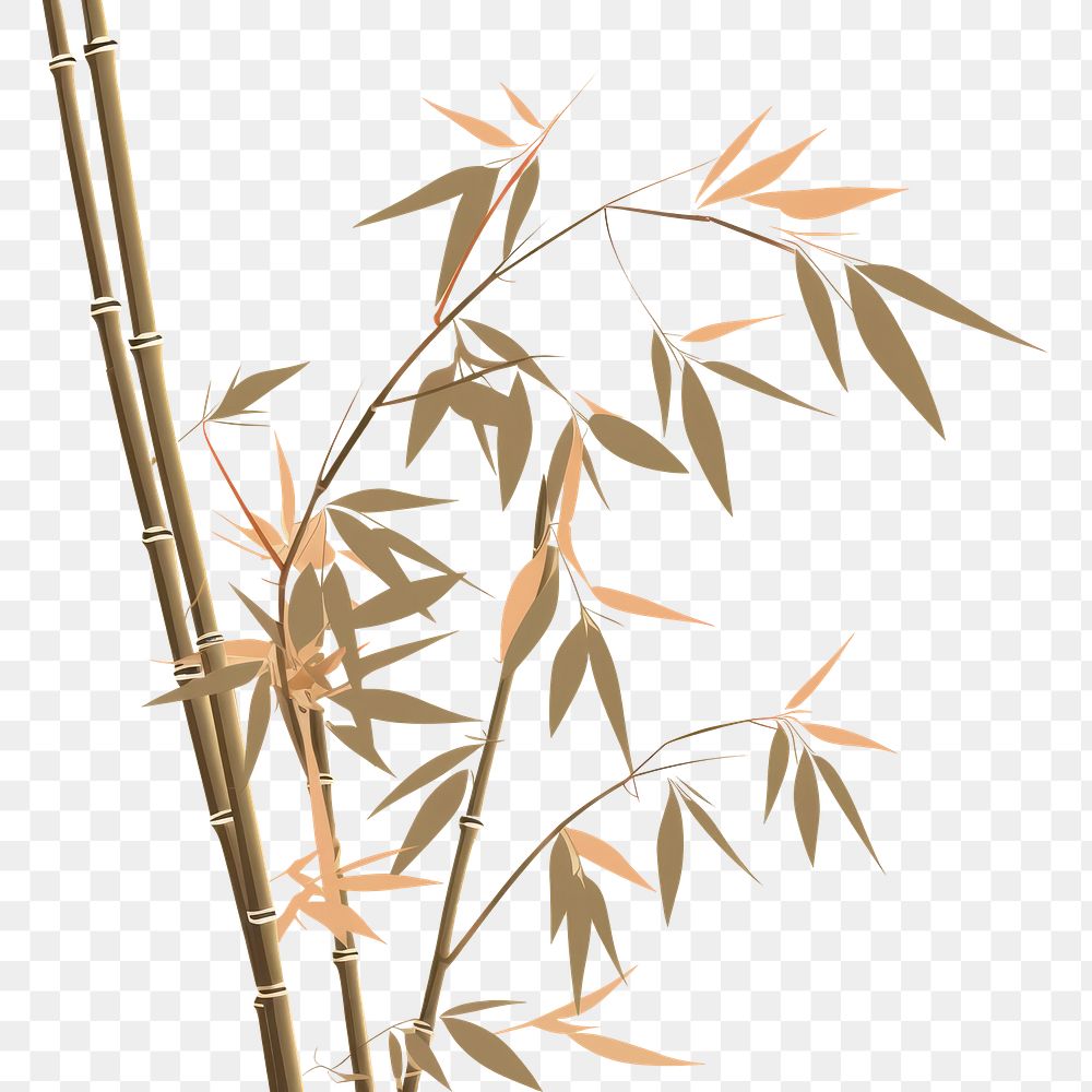 PNG Bamboo backgrounds plant pattern. 