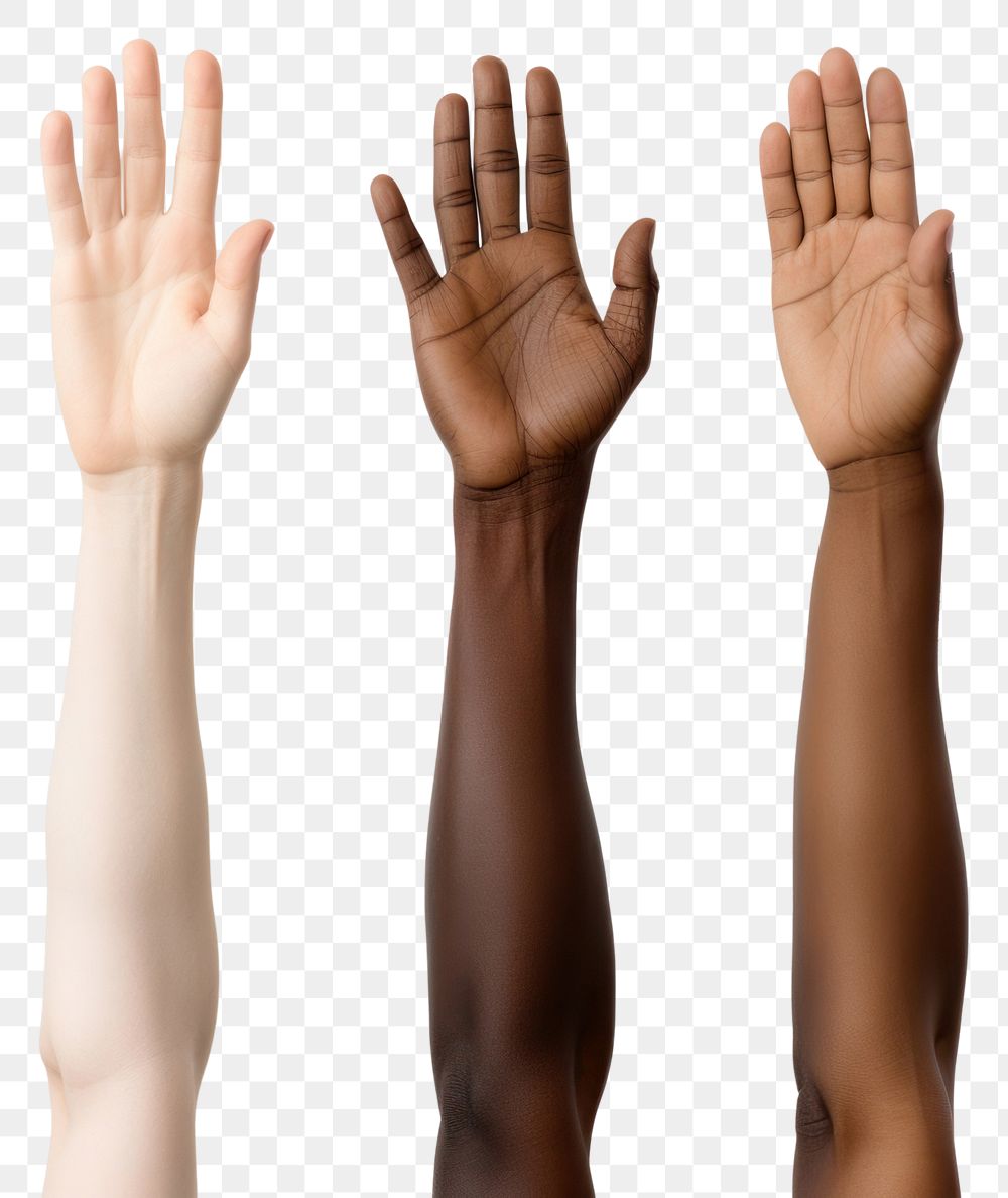 PNG Hand finger adult