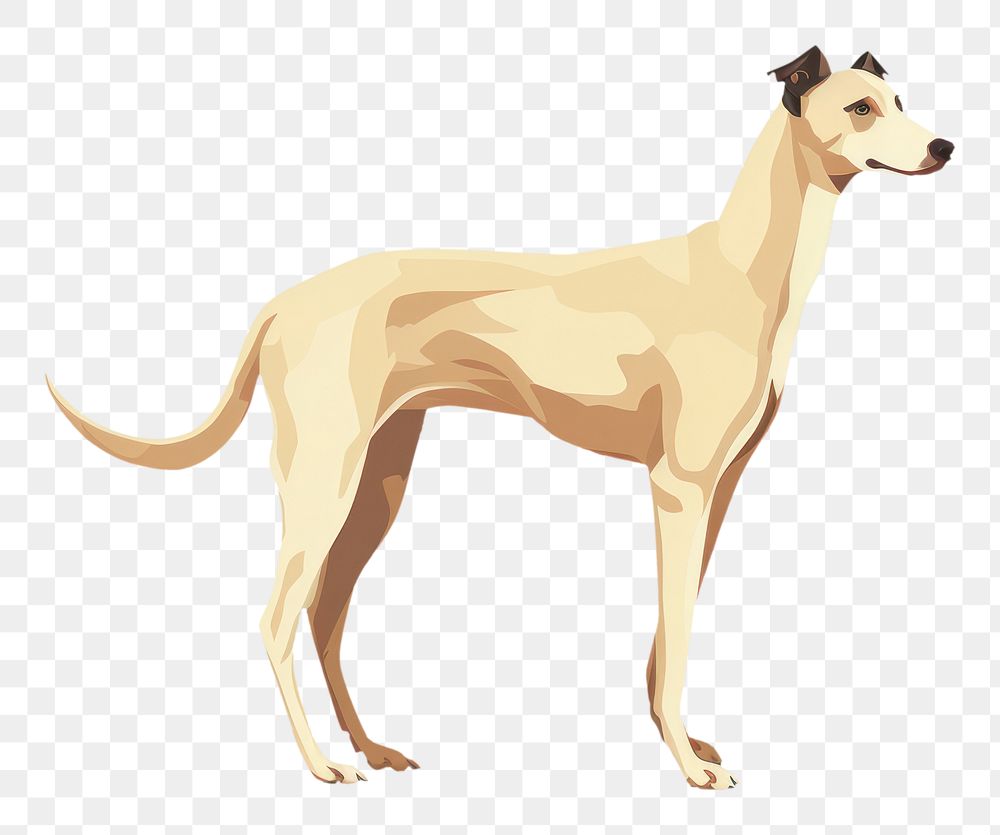 PNG Greyhound dog pet animal mammal. AI generated Image by rawpixel.